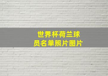 世界杯荷兰球员名单照片图片