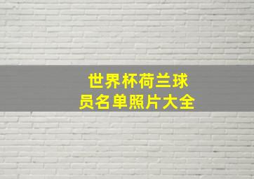 世界杯荷兰球员名单照片大全