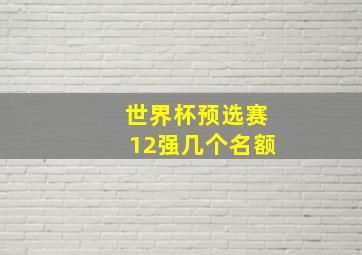 世界杯预选赛12强几个名额