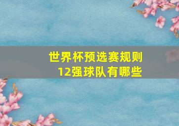 世界杯预选赛规则12强球队有哪些