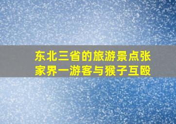 东北三省的旅游景点张家界一游客与猴子互殴