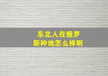 东北人在俄罗斯种地怎么样啊