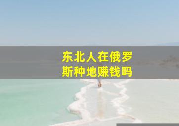 东北人在俄罗斯种地赚钱吗