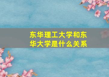 东华理工大学和东华大学是什么关系