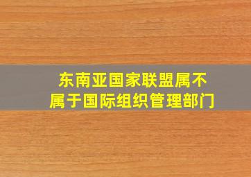 东南亚国家联盟属不属于国际组织管理部门