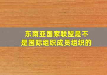 东南亚国家联盟是不是国际组织成员组织的