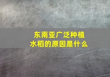 东南亚广泛种植水稻的原因是什么