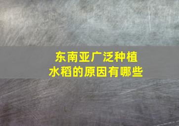 东南亚广泛种植水稻的原因有哪些