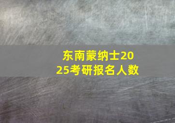 东南蒙纳士2025考研报名人数