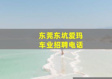 东莞东坑爱玛车业招聘电话