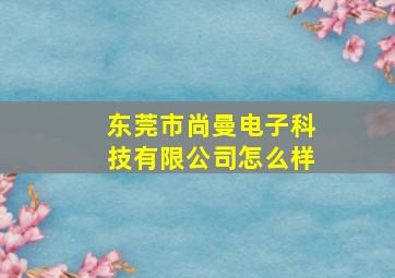 东莞市尚曼电子科技有限公司怎么样