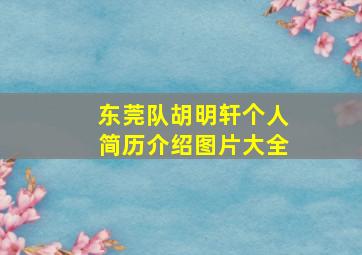 东莞队胡明轩个人简历介绍图片大全