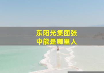 东阳光集团张中能是哪里人