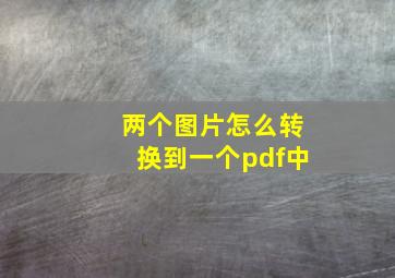 两个图片怎么转换到一个pdf中