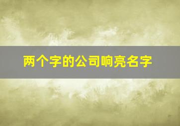 两个字的公司响亮名字