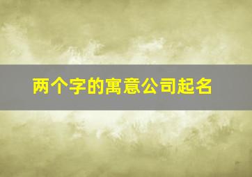 两个字的寓意公司起名