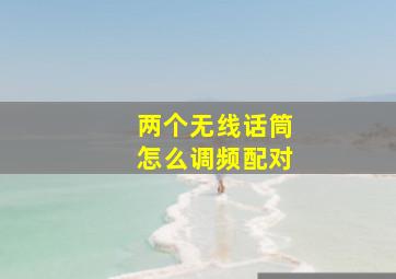 两个无线话筒怎么调频配对