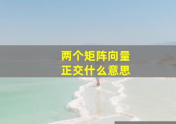 两个矩阵向量正交什么意思