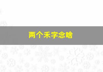 两个禾字念啥