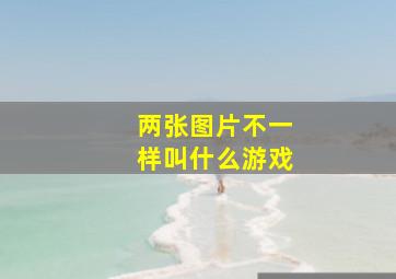 两张图片不一样叫什么游戏