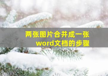 两张图片合并成一张word文档的步骤