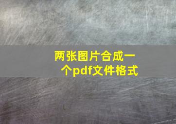 两张图片合成一个pdf文件格式