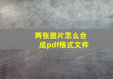 两张图片怎么合成pdf格式文件