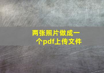 两张照片做成一个pdf上传文件