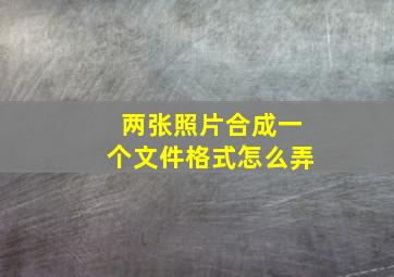 两张照片合成一个文件格式怎么弄