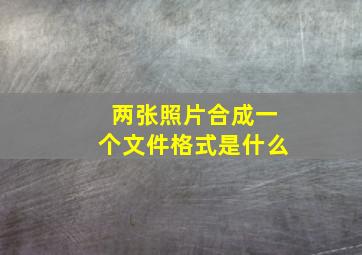 两张照片合成一个文件格式是什么