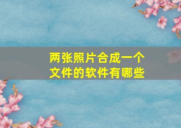 两张照片合成一个文件的软件有哪些