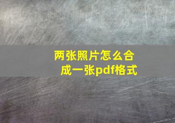 两张照片怎么合成一张pdf格式