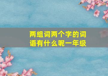 两组词两个字的词语有什么呢一年级