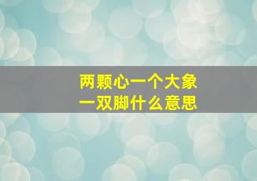 两颗心一个大象一双脚什么意思