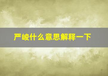 严峻什么意思解释一下