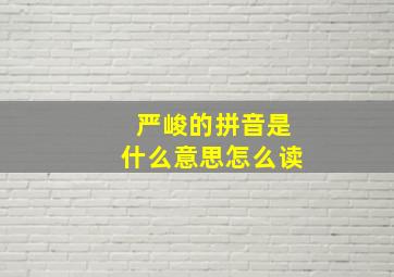 严峻的拼音是什么意思怎么读