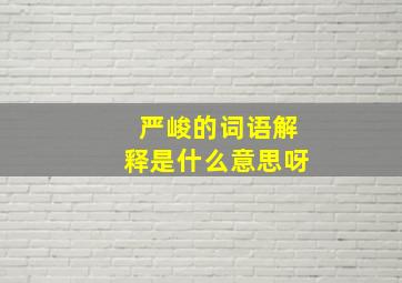 严峻的词语解释是什么意思呀