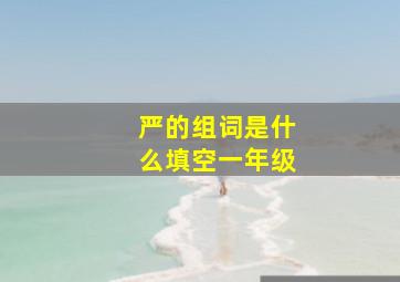 严的组词是什么填空一年级