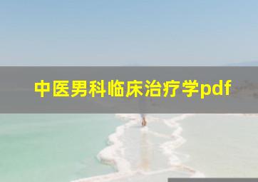 中医男科临床治疗学pdf