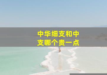 中华细支和中支哪个贵一点