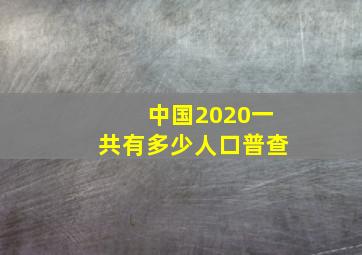 中国2020一共有多少人口普查