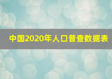 中国2020年人口普查数据表