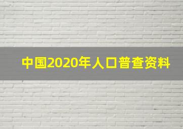 中国2020年人口普查资料