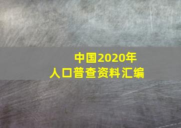 中国2020年人口普查资料汇编