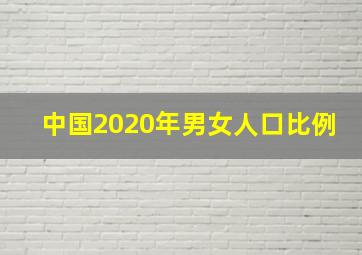 中国2020年男女人口比例