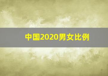 中国2020男女比例