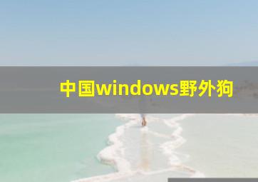 中国windows野外狗