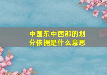 中国东中西部的划分依据是什么意思