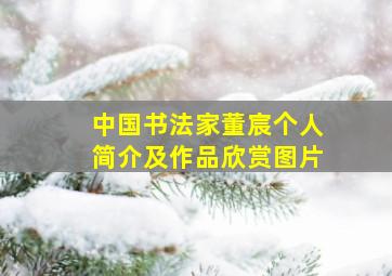 中国书法家董宸个人简介及作品欣赏图片