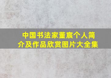 中国书法家董宸个人简介及作品欣赏图片大全集